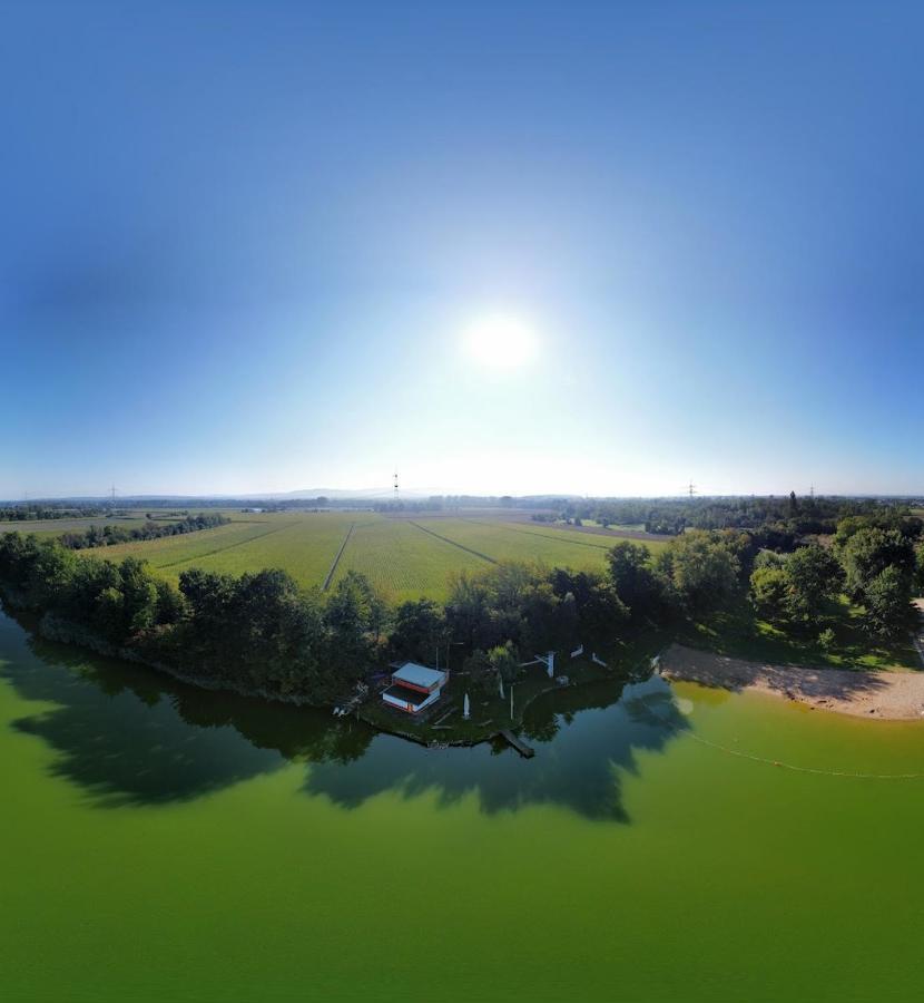 River View Near Frankfurt -- 3 Zimmer -- 4 Betten Und 1 Groesse Schlafcouch Hainburg Zewnętrze zdjęcie